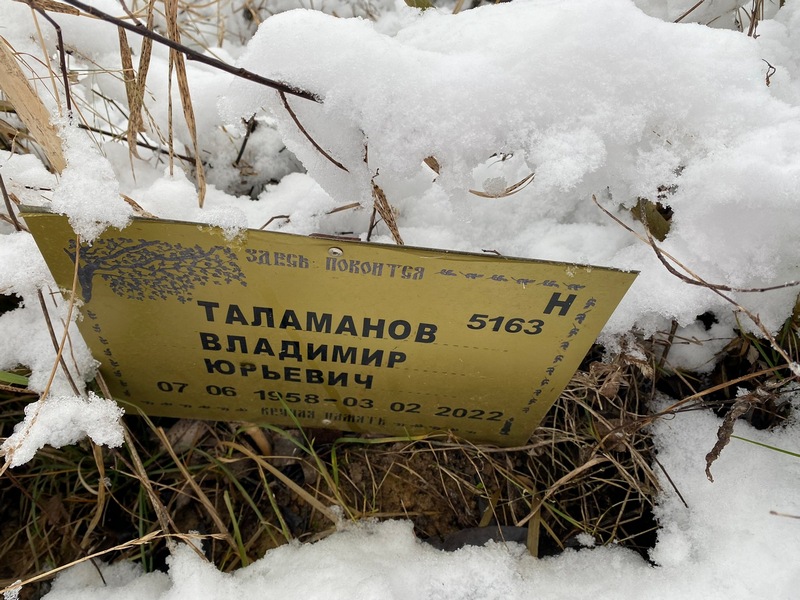 Таламанов