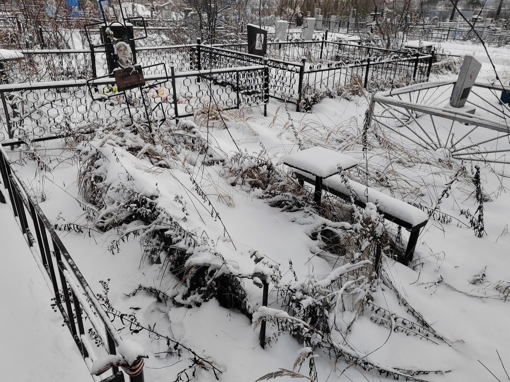 Меркульев Сергей Иванович