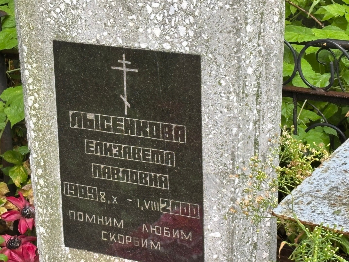 Лысенкова