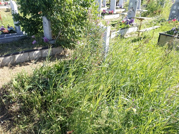 Сыромятникова Юннона Арольдовна