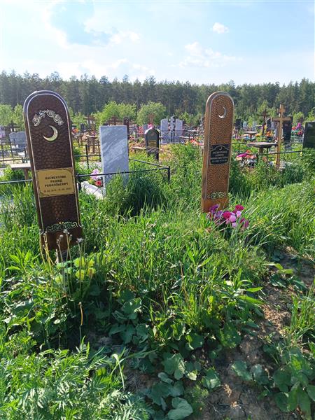 Насибуллина Алфира Миниахметовна