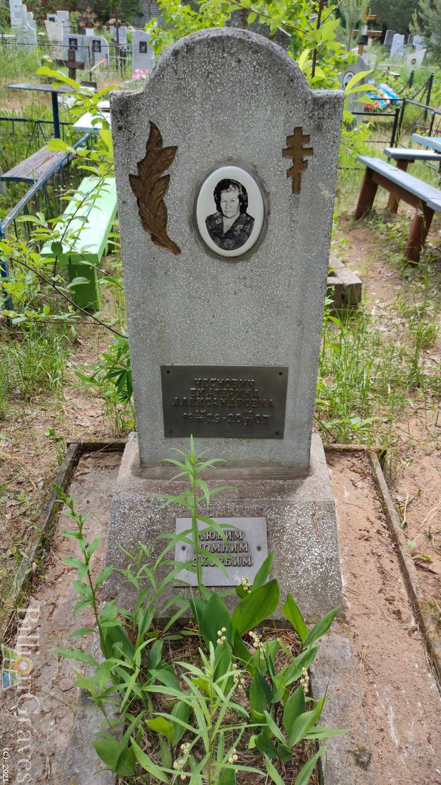 Чеснович Екатерина АЛександровна