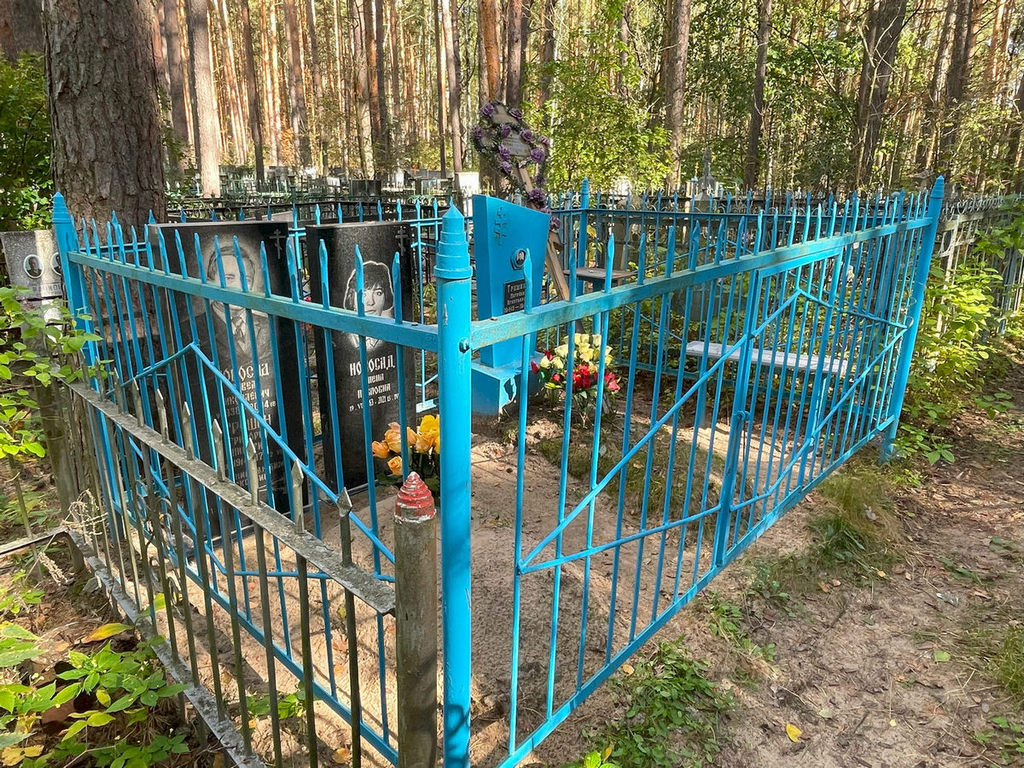 Новосад Павел Николаевич