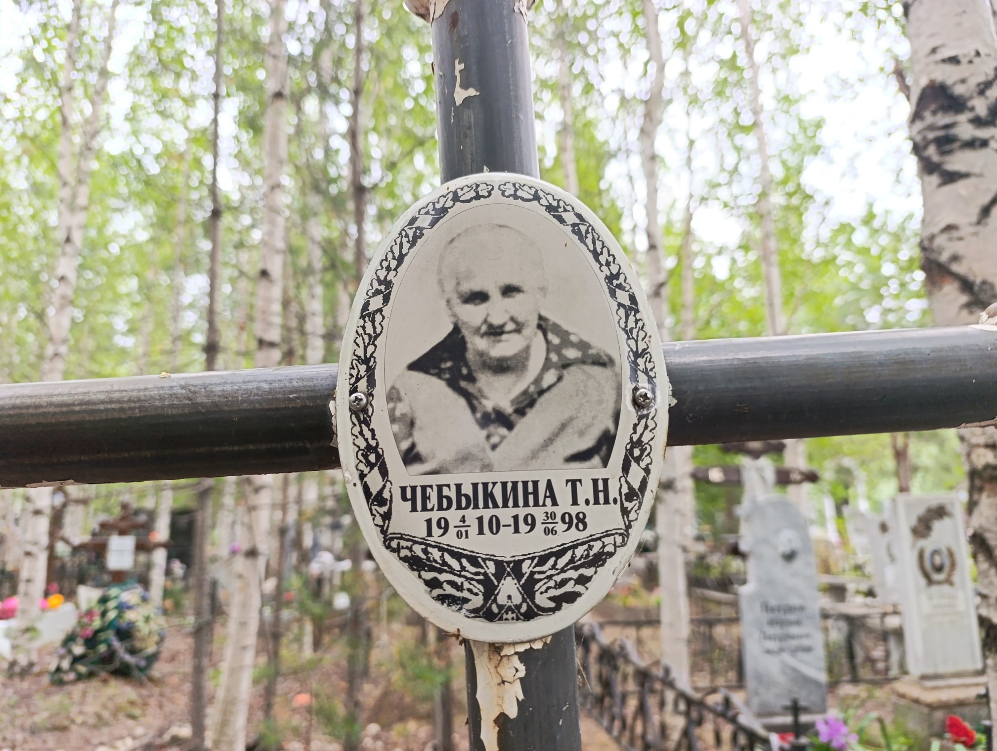 Чебыкина Татьяна Николаевна