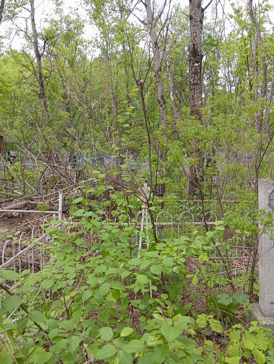 Скрипник Ульяна Осиповна
