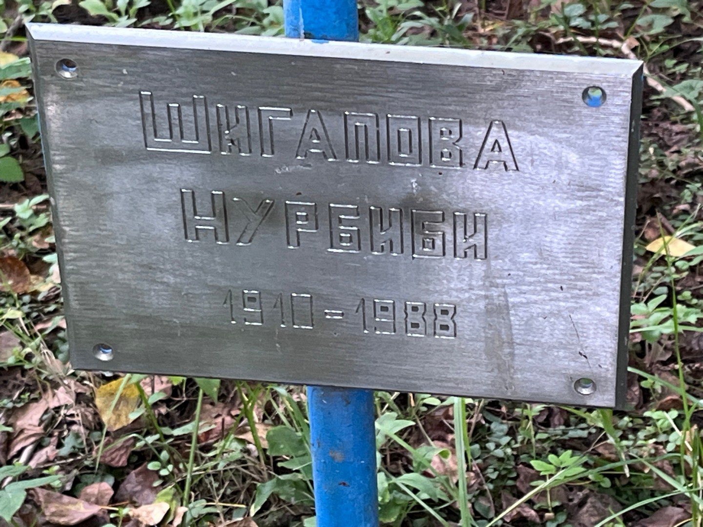Нурбиби Шигапова