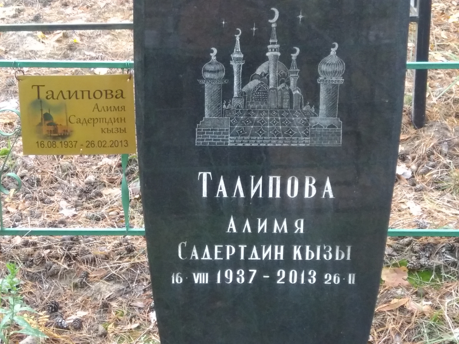 Талипова Алимя Садертдин