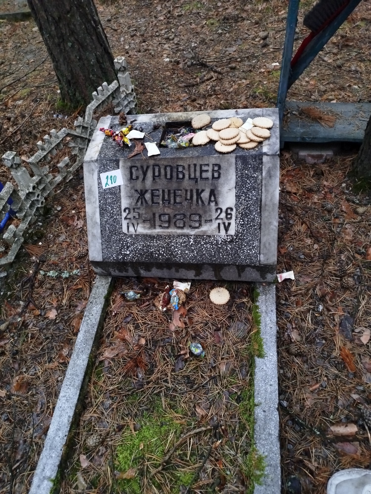Суровцев Женечка