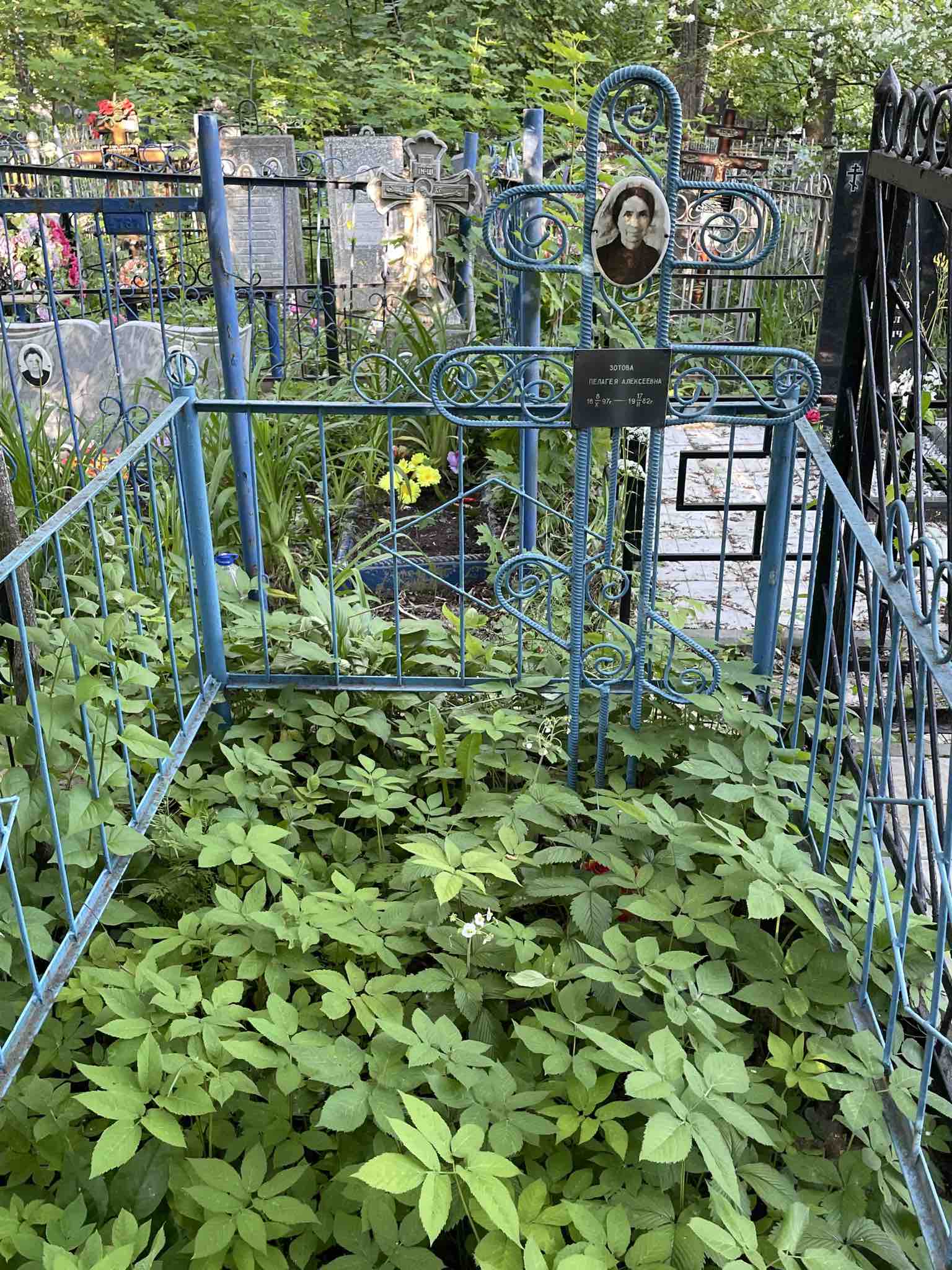 Зотова Пелагея Алексеевна