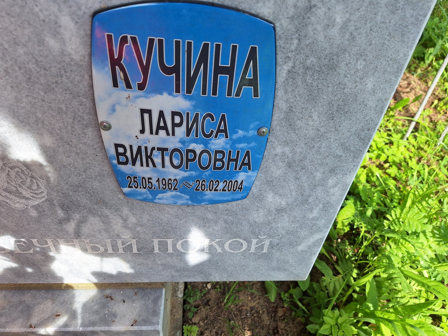 Кучина