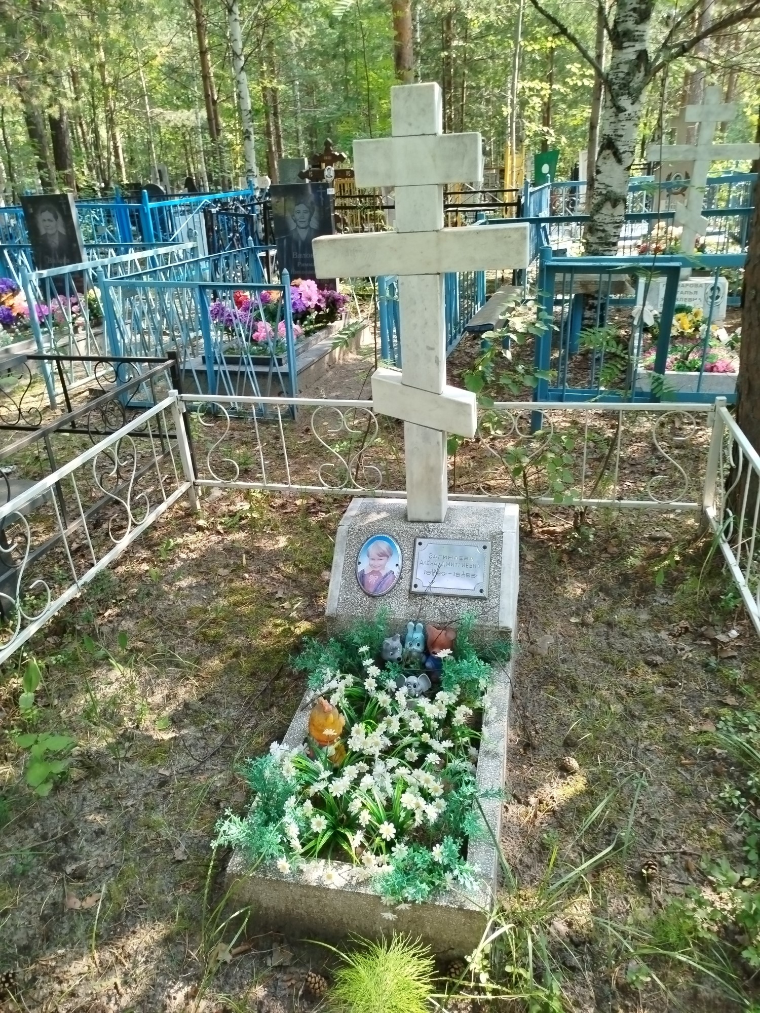 Загинаева Алёна Дмитриевна