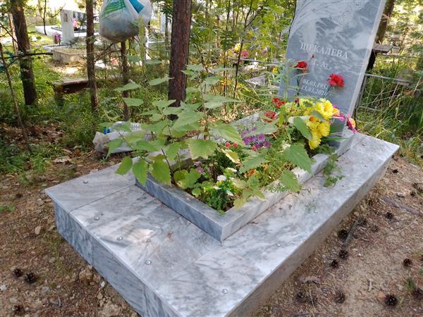 Щекалева Г. А.