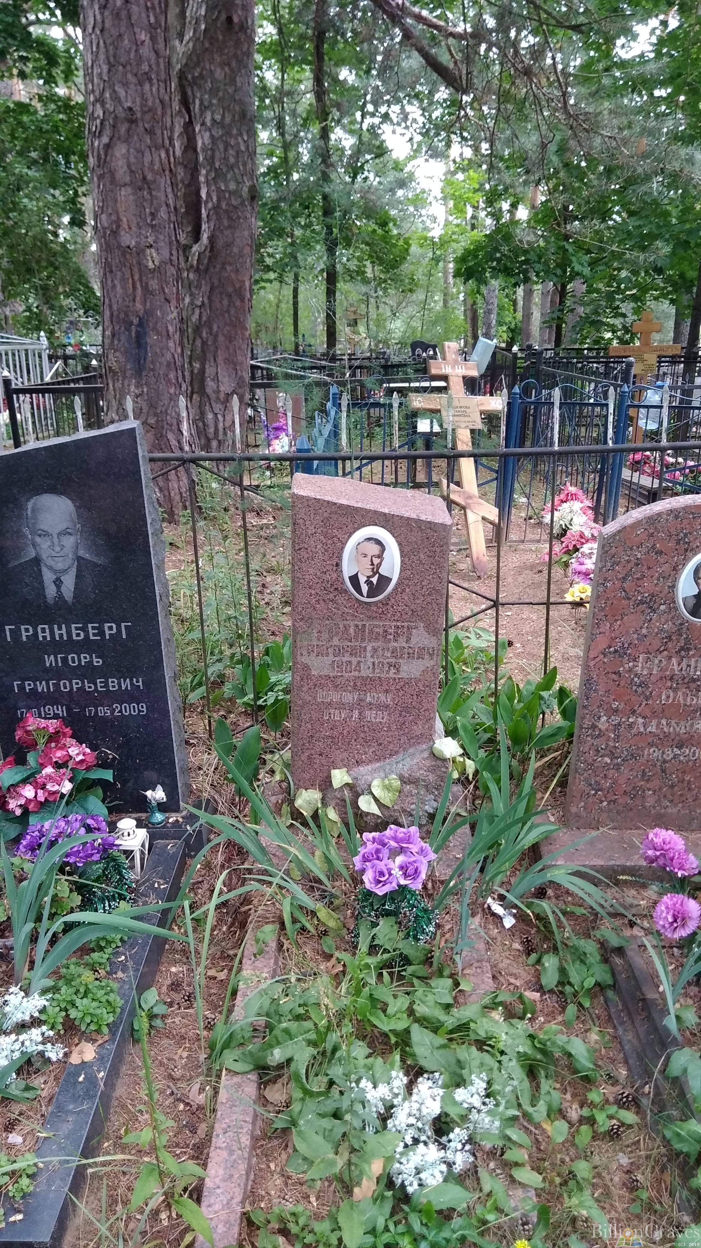 Гринберг Игорь Григорьевич