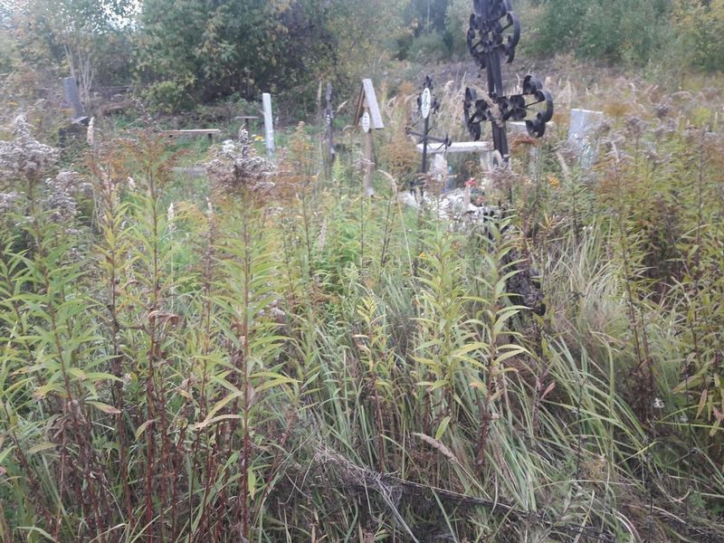 Напылова Людмила Ивановна