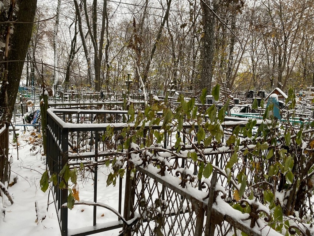 Соловьев Алексей Николаевич