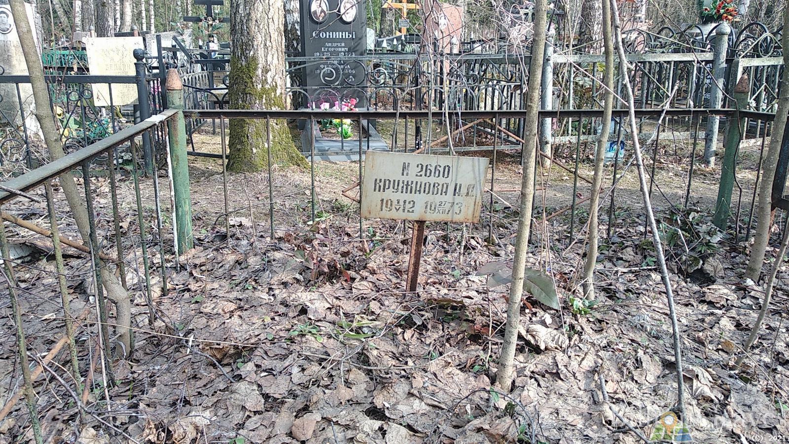Кружнова Н. Д.