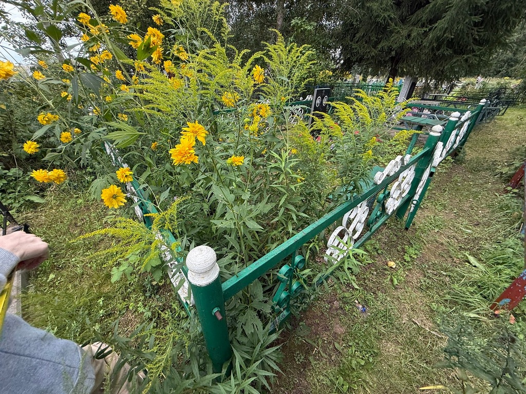 Шубина Антонина Дмитриевна
