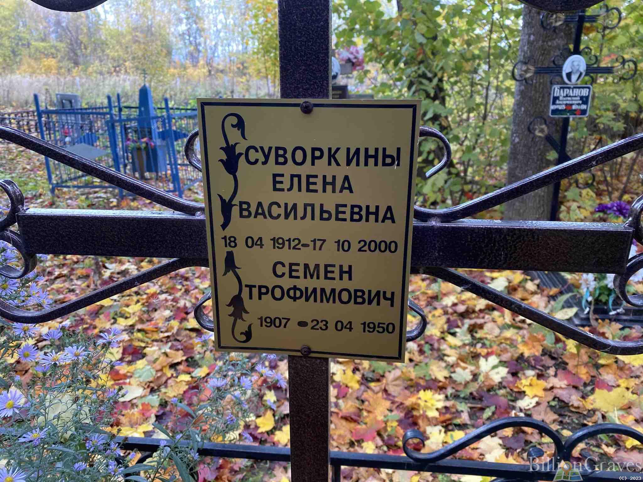 Суворкина Елена Васильевна