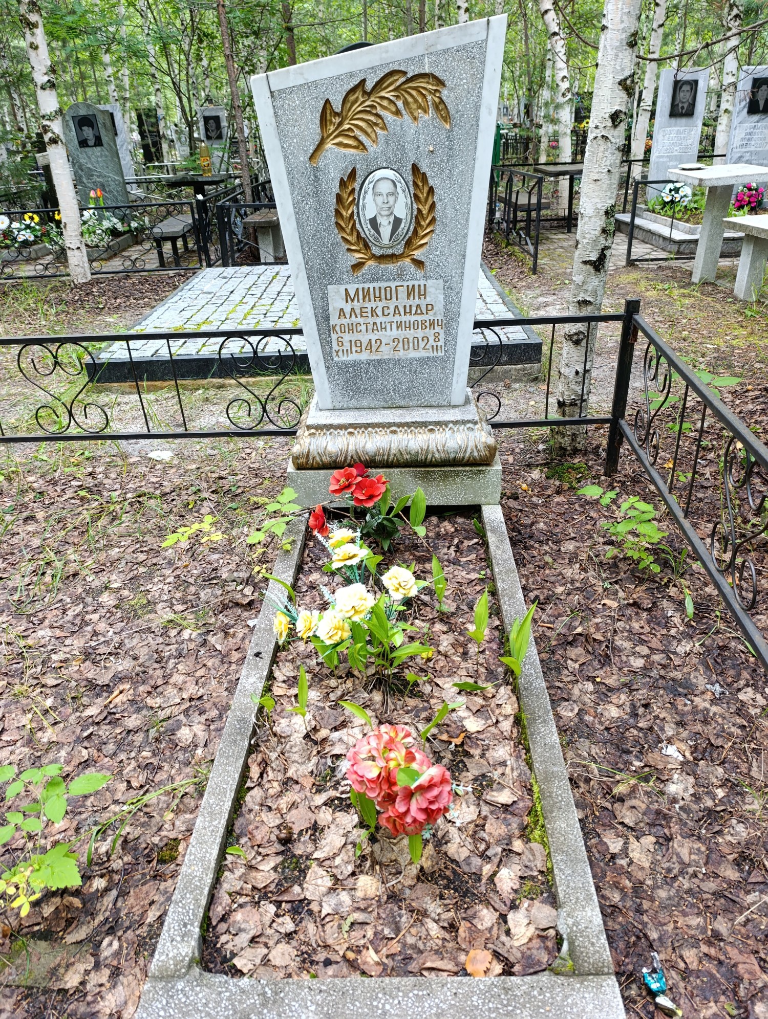 Миногин Александр Константинович