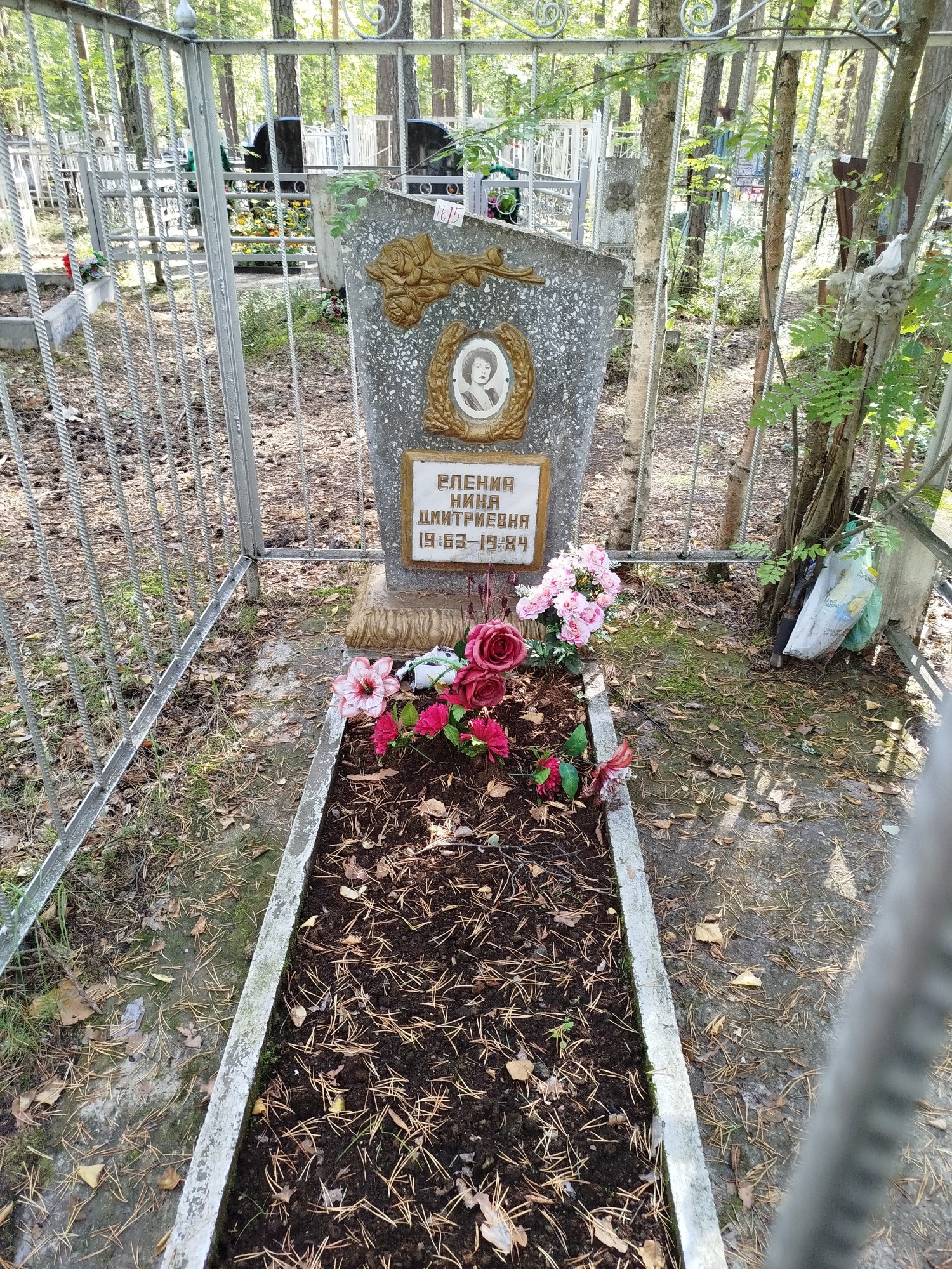 Елениа Нина Дмитриевна