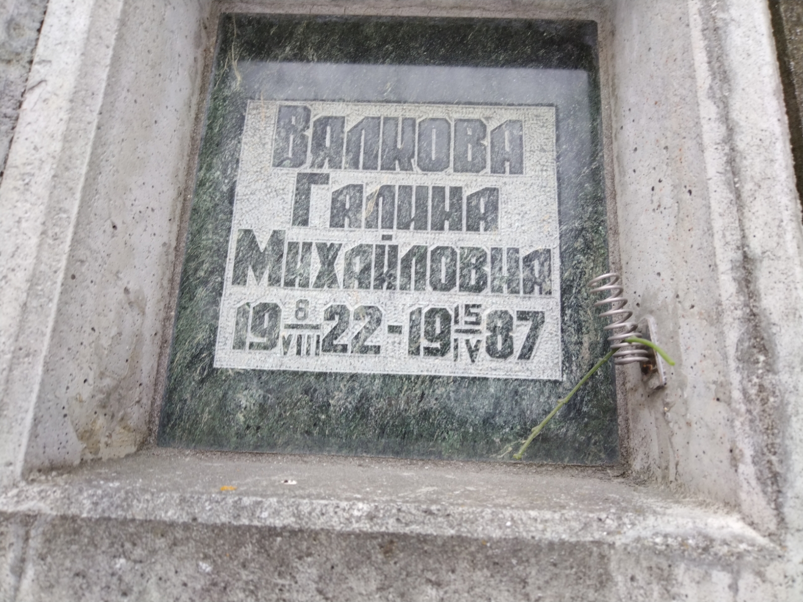 Вялкова Галина Михайловна