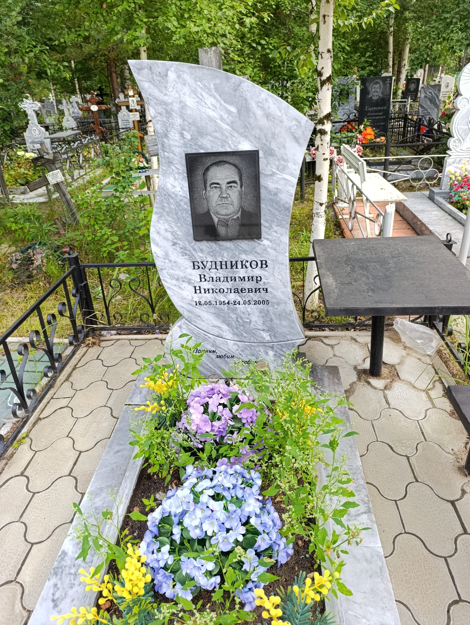 Будников Владимир Николаевич