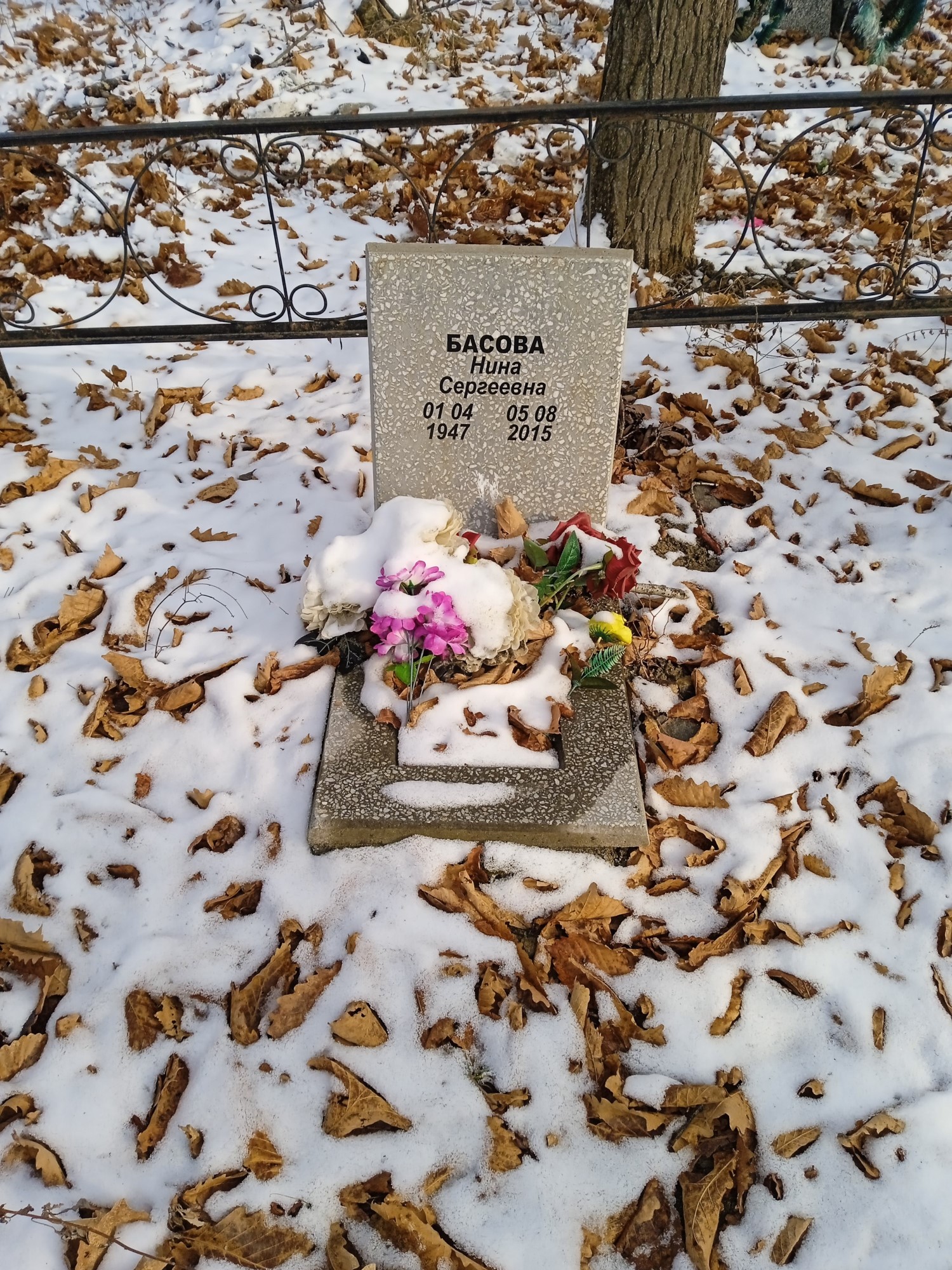 Басова Нина Сергеевна