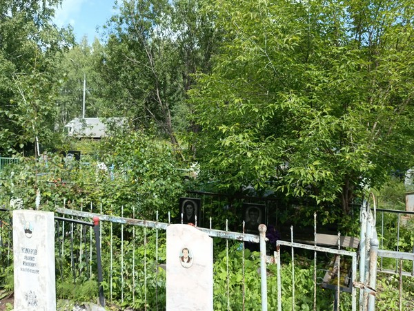 Плотников Василий Николаевич