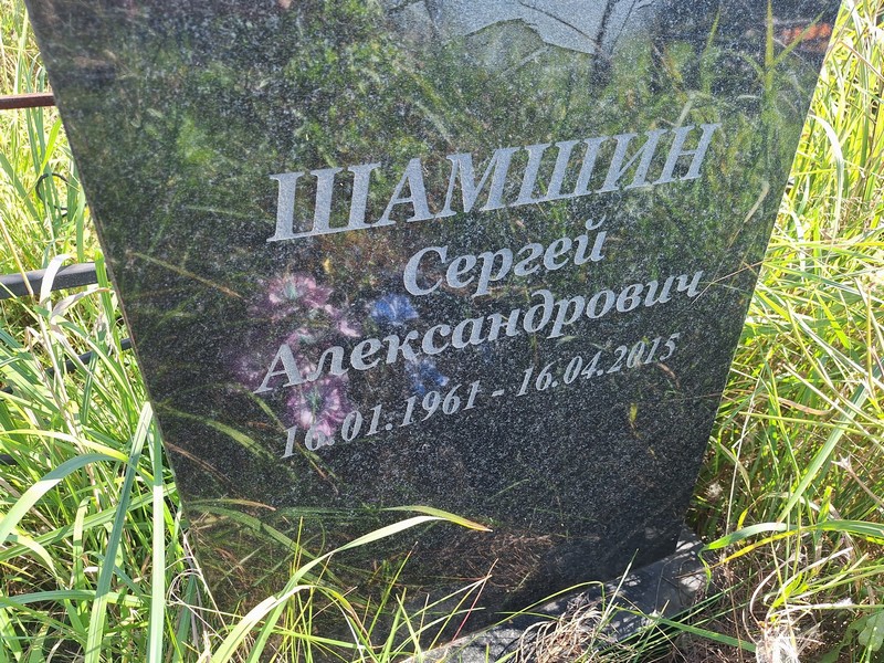 Шамшин