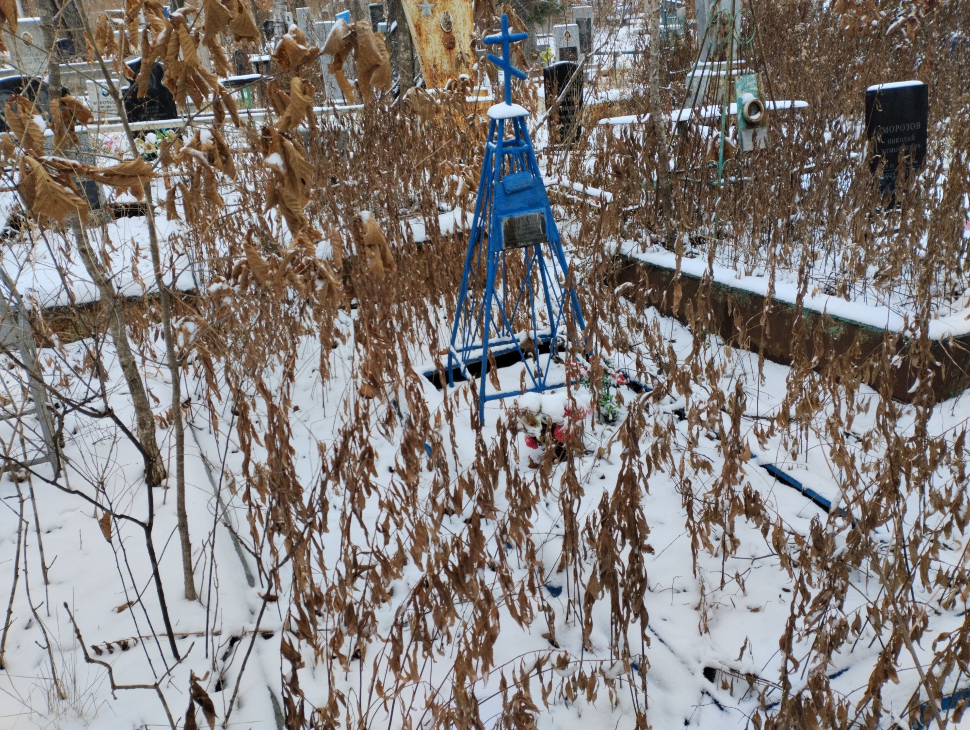 Сенькина Анна Николаевна