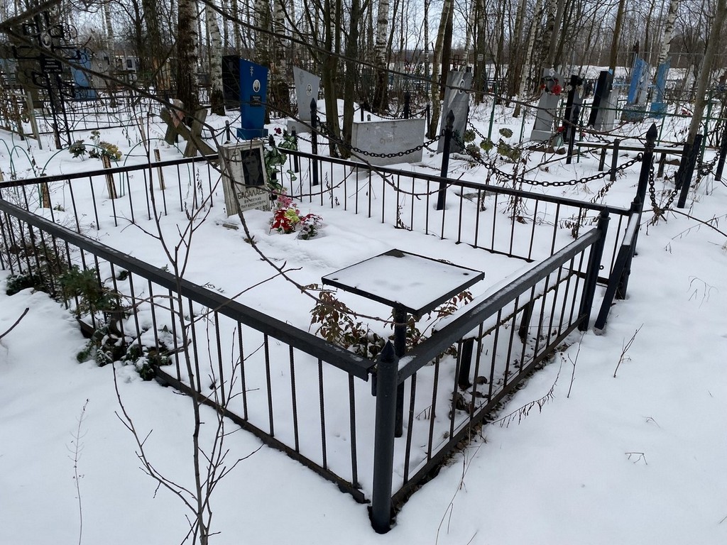 Басалаев Вячеслав Парамонович