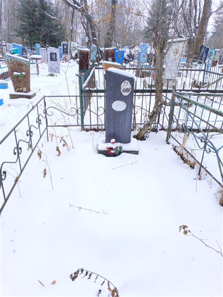 Синева Евгения Алексеевна