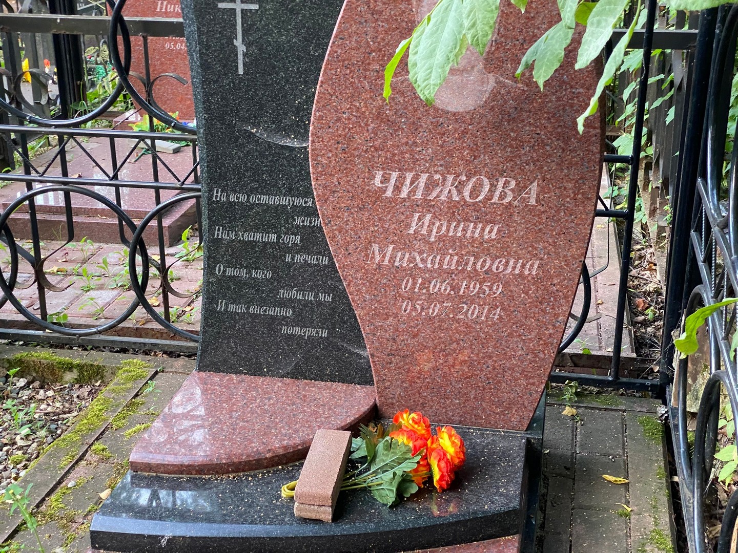 Чижова