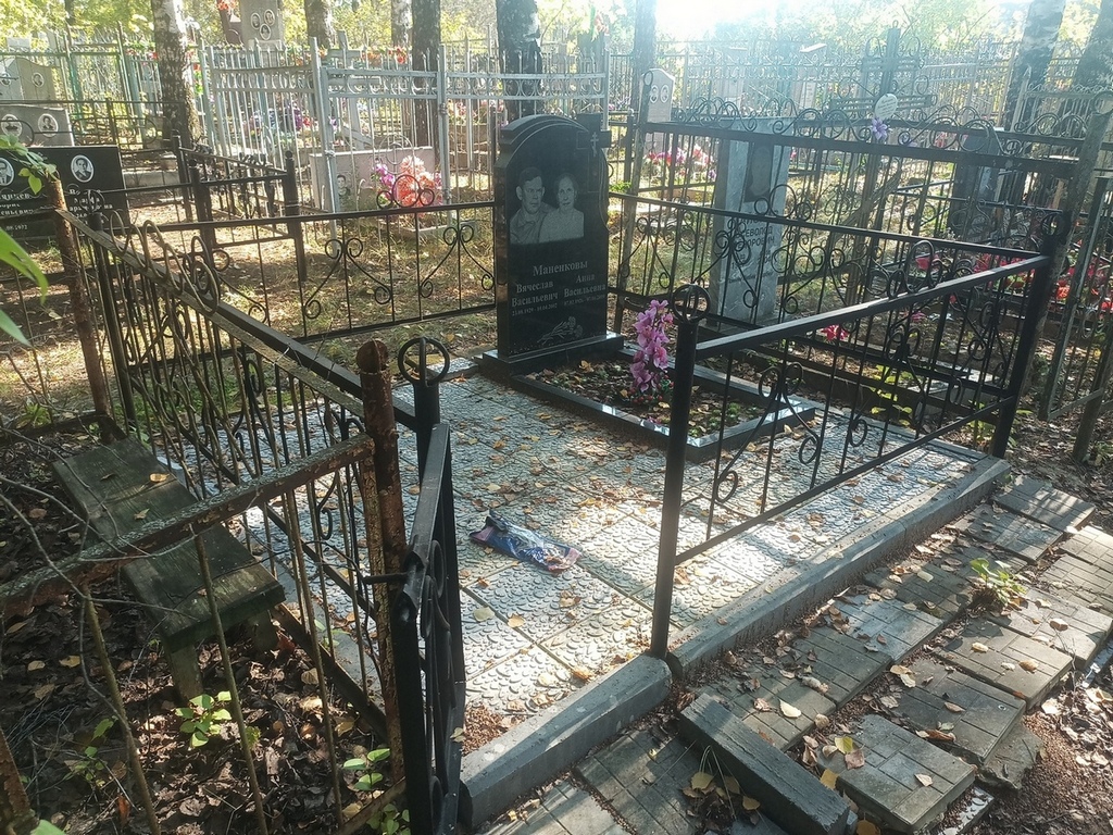 Маненков Вячеслав Васильевич