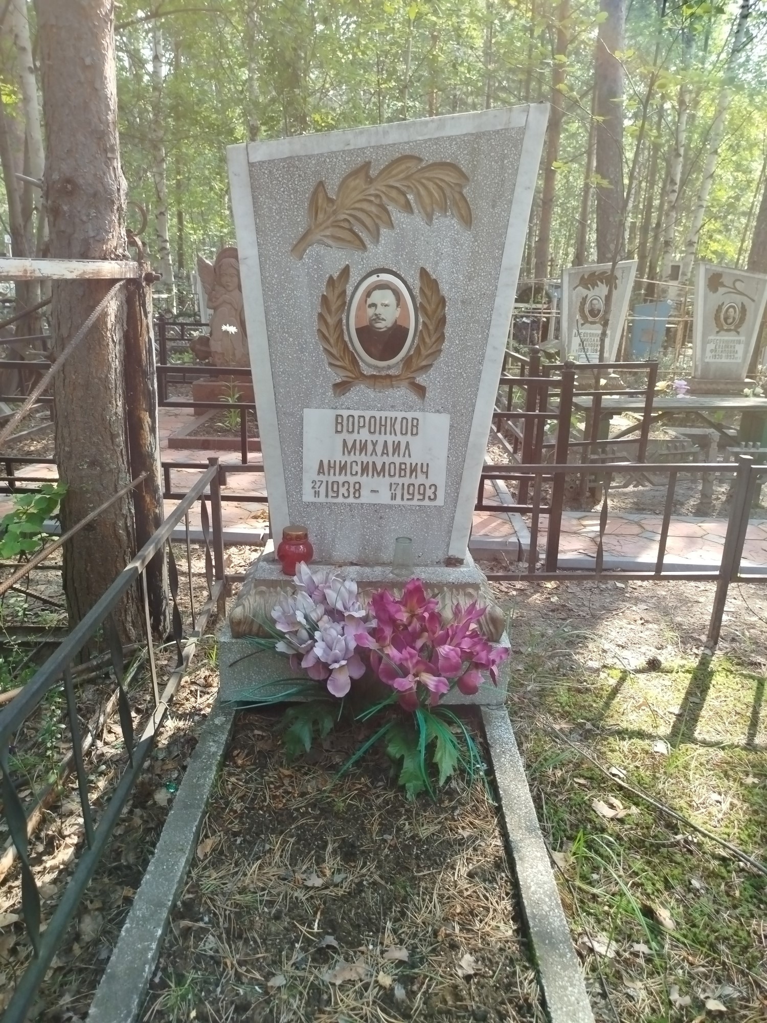 Воронков Михаил Анисимович