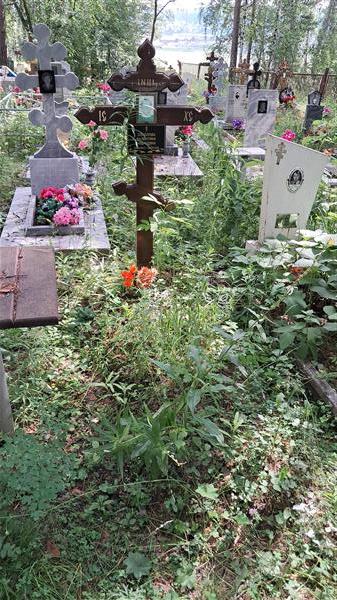 Соколова Валентина Андреевна