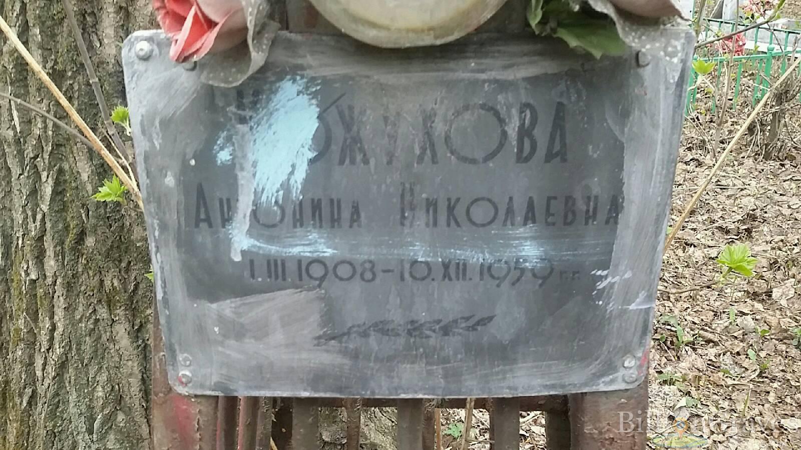 Кожухова Антонина Николаевна