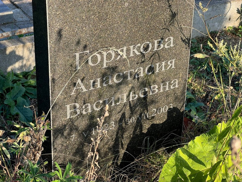 Горякова Анастасия Васильевна
