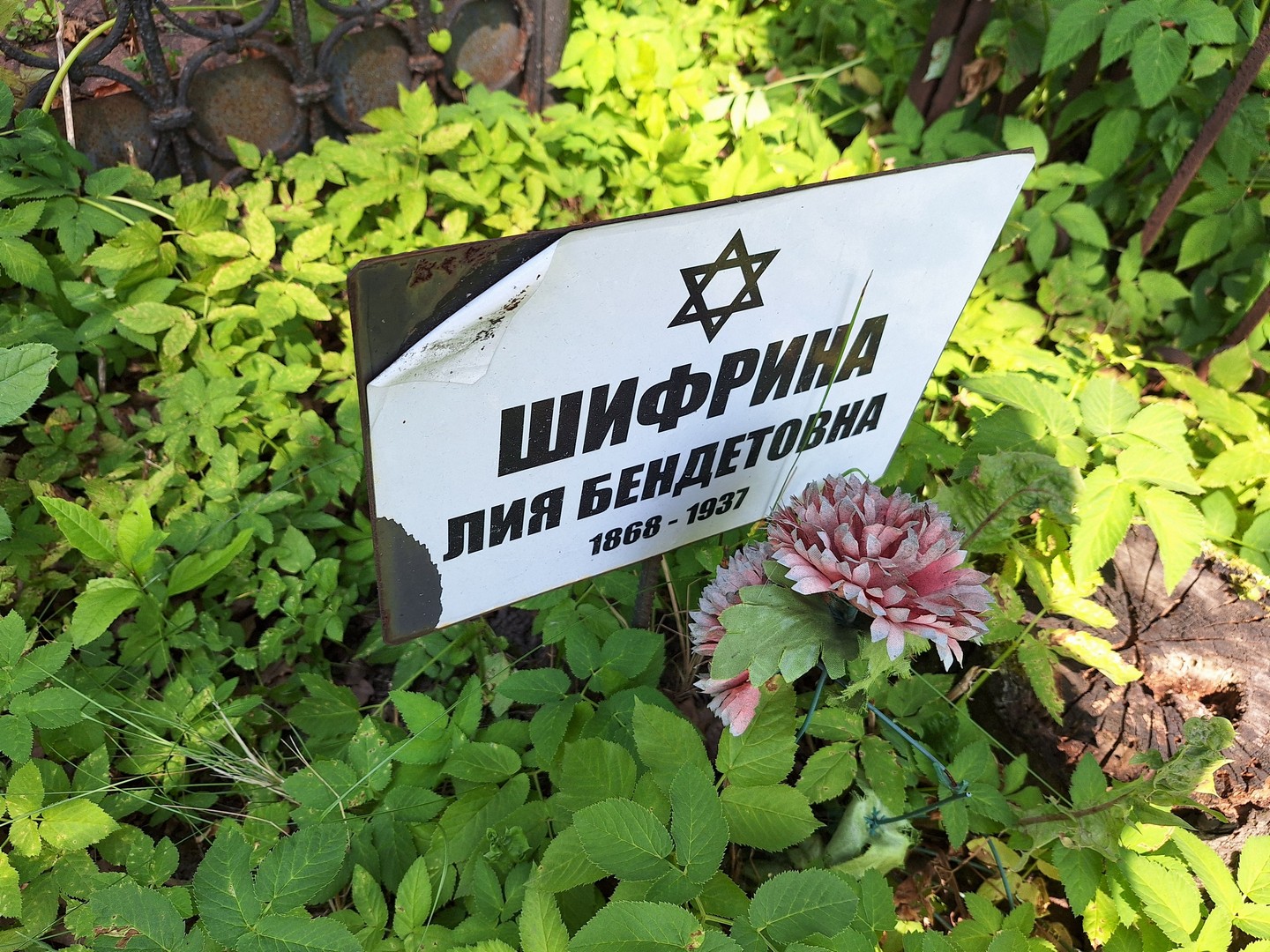 Лия Шифрина Бендетовна