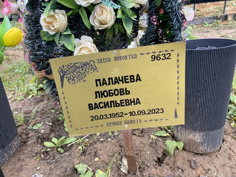 Палачева