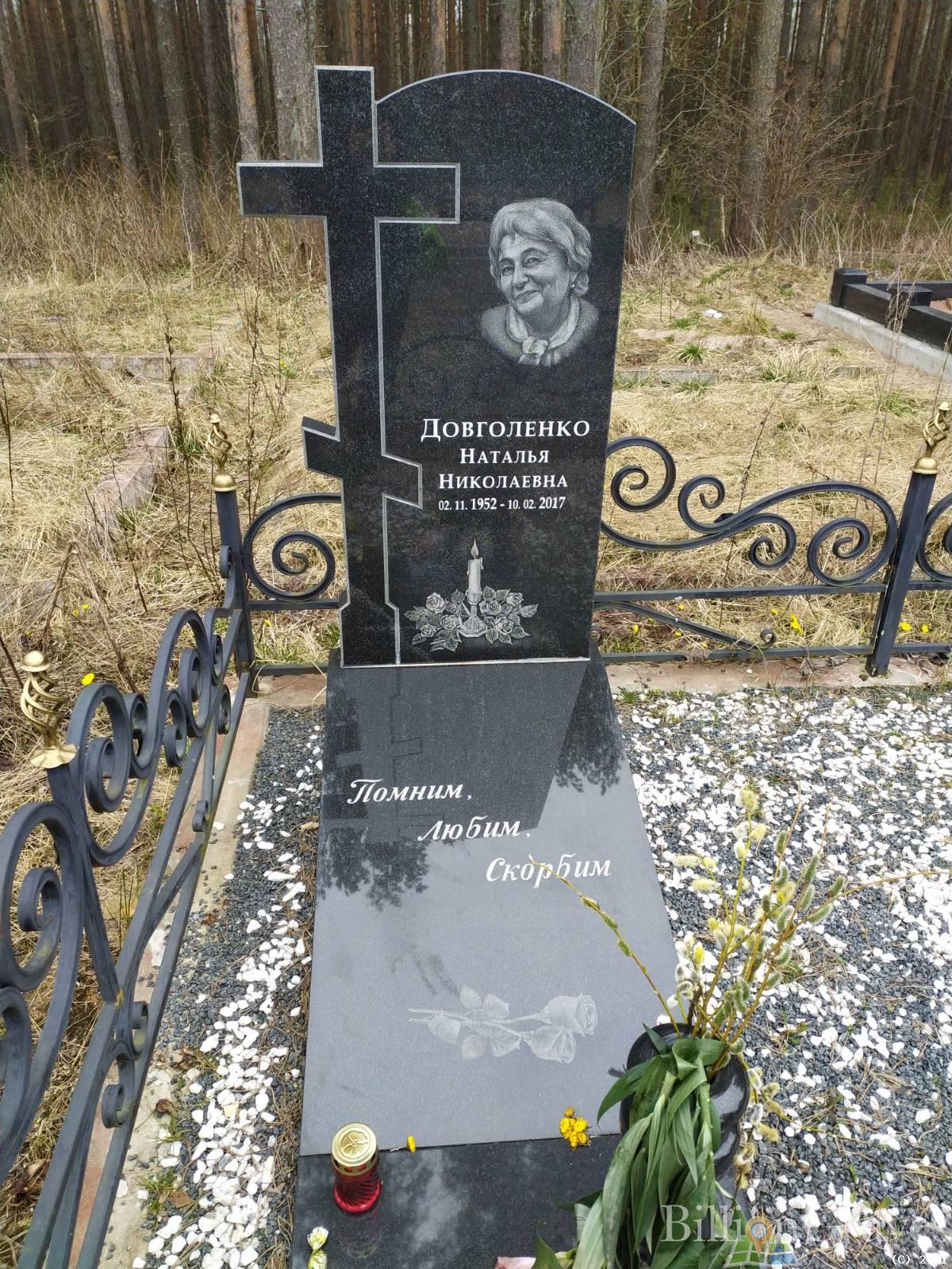 Довголенко Наталья Николаевна