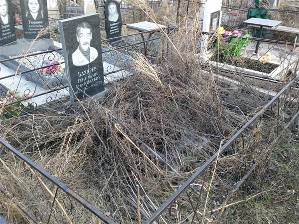 Бахарев Геннадий Анатольевич