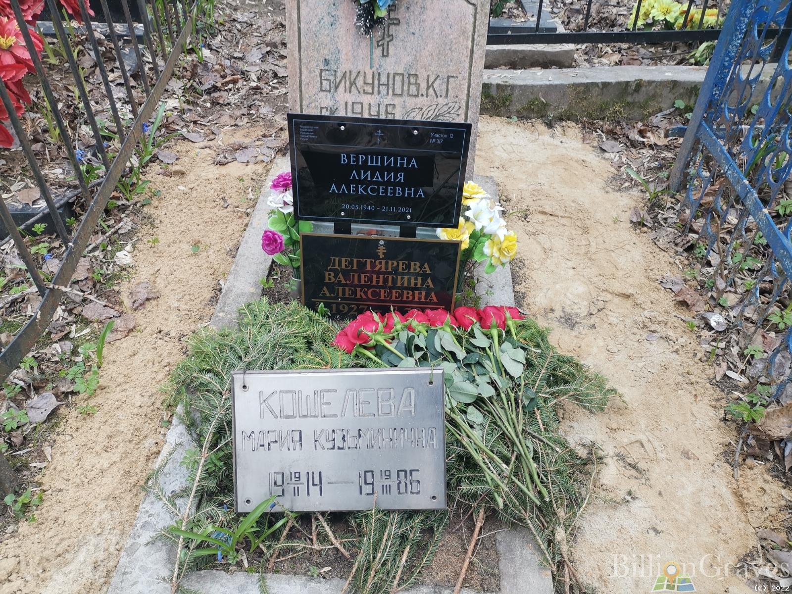 Вершина Лидия Алексеевна