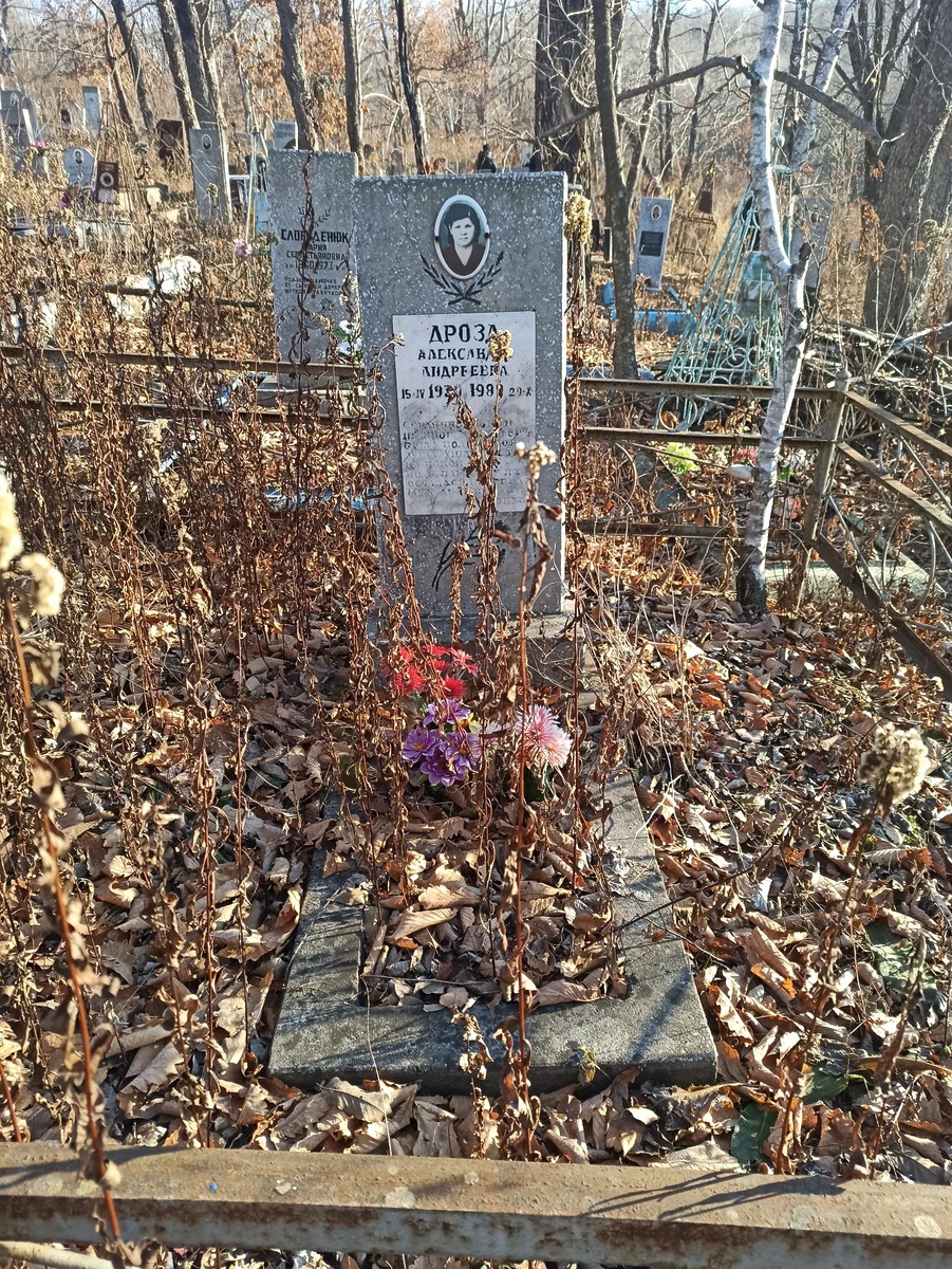 Дрозд Александра Андреевна