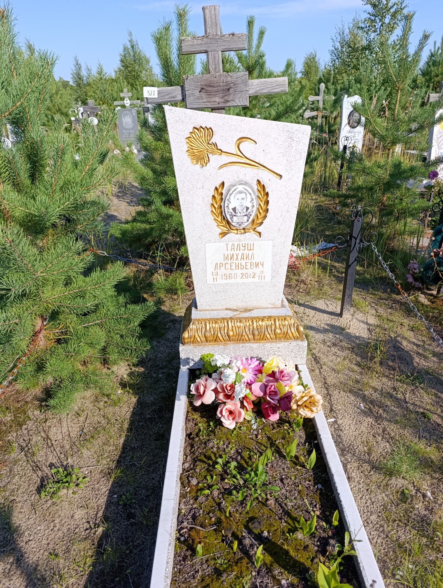 Талуш Михаил Арсентьевич