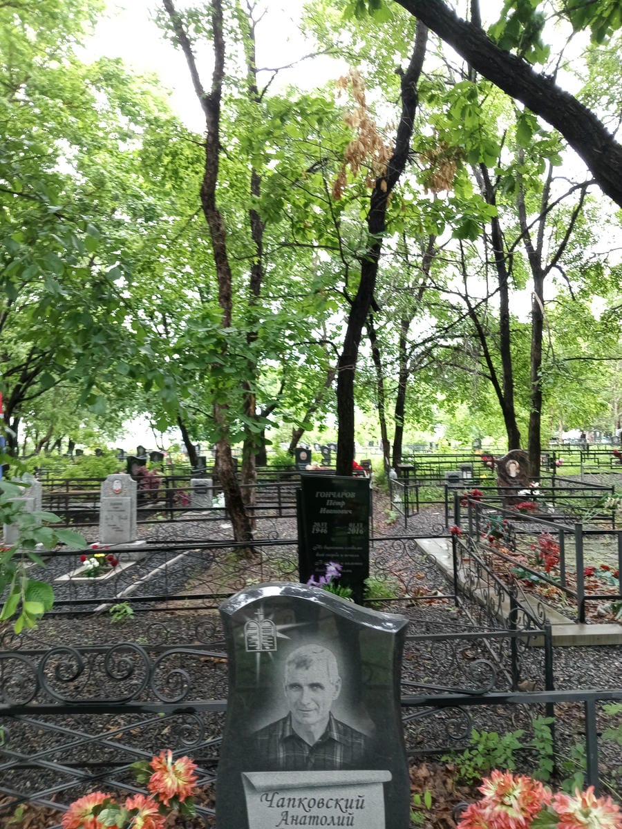 Чапковский Анатолий Антонович