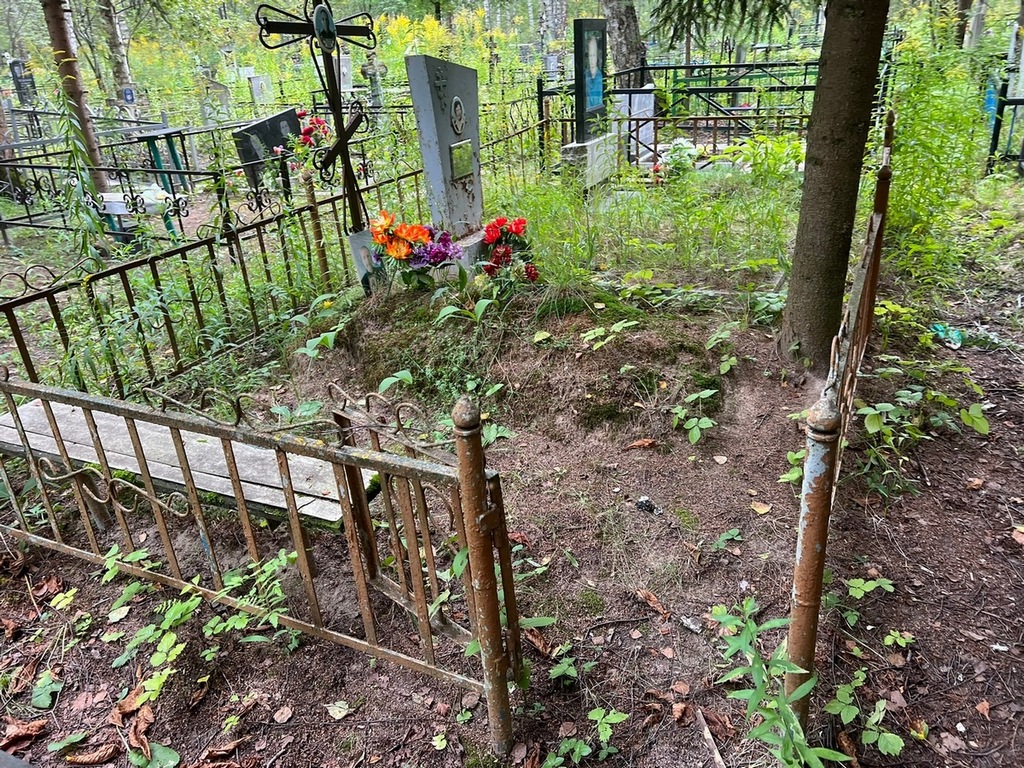 Седаев Николай Александрович