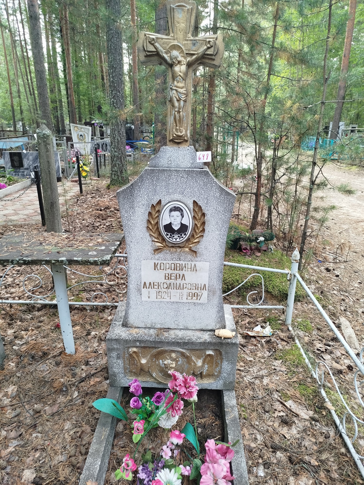 Коровина Вера Александровна