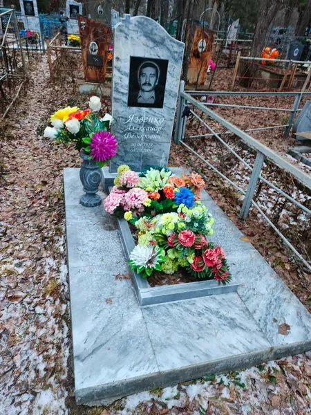Язвенко Александр