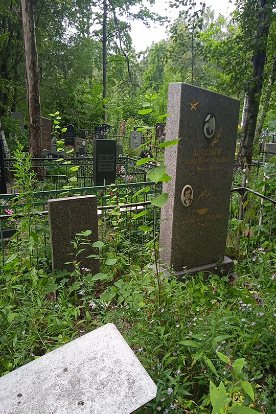 Васильев Андрей Григорьевич